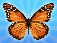 MergeButerfly: 2048!