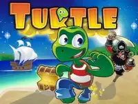 TURTLE SMA background