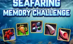 Seafaring Memory  Challenge
