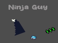 Ninja Guy background