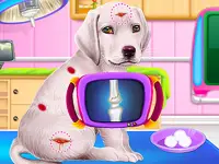 Labrador Puppy Daycare Salon background