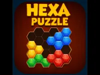 Hexa Tiles Puzzle Game image