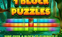 1 Block Puzzles