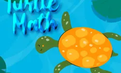 Turtle Math