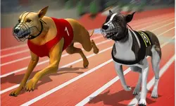 Racing Dog Simulator : Crazy Dog Racing Games