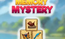 Memory Mystery