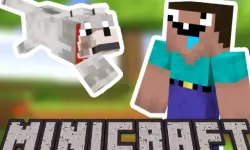 Minicraft: Steve And Wolf Adventure