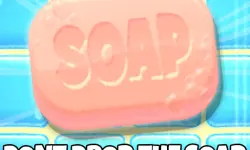 Dont Drop The Soap