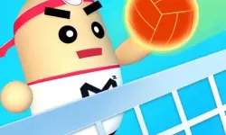 3D Amazing VolleyBall