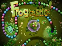 FROGTASTIC Zumba background