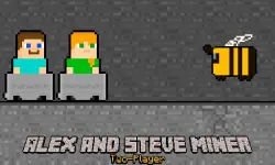 Alex and Steve Miner Two Player