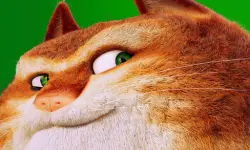 The Amazing Maurice Card Match