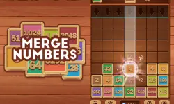 Merge Numbers : Wooden edition