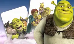 Shrek Card Match